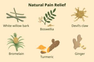 the Top Ayurveda Doctor for Pain Relief in Indiranagar at Ayur Jagruti Ayurveda Clinic